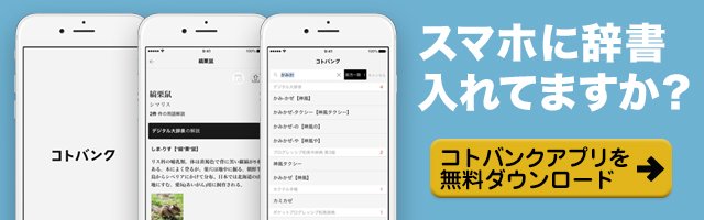pachinko bingo onlineのiPhoneアプリ 無料ダウンロードはこちら